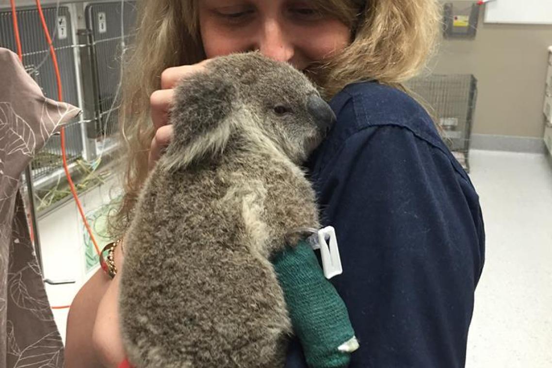 Paris Tootell, one of the night staff in the intensive care unit, with Bob the baby koala.