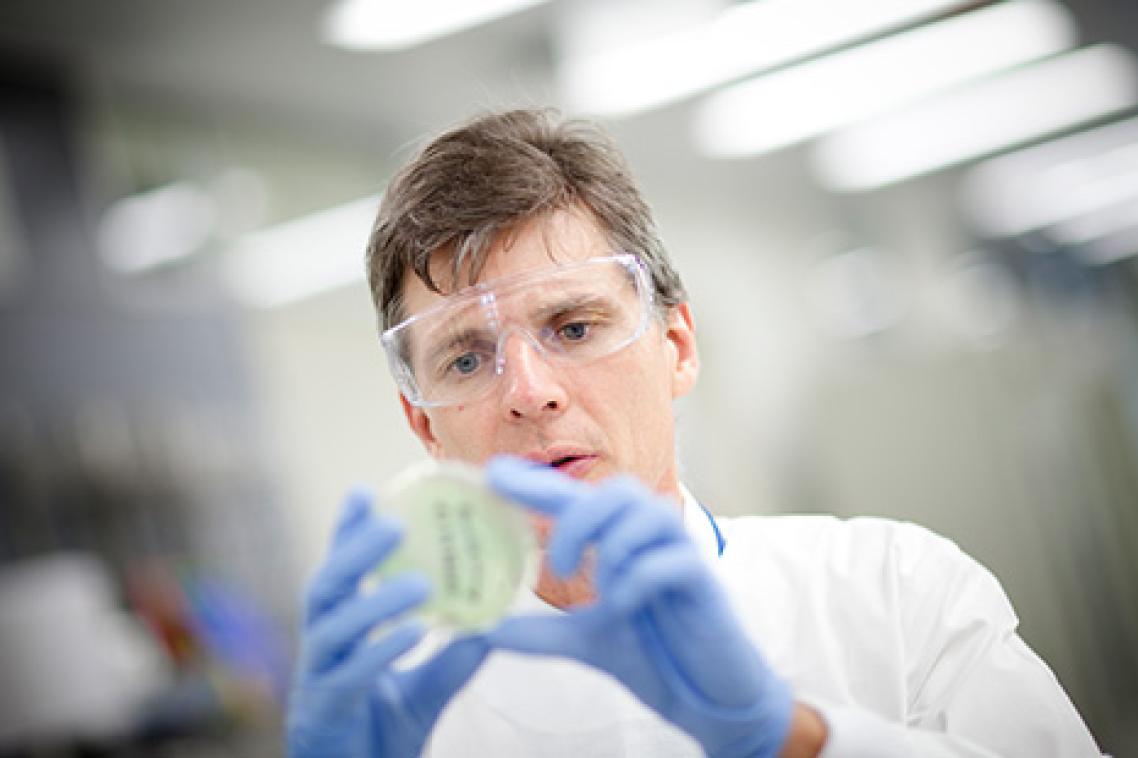 Professor David Paterson
