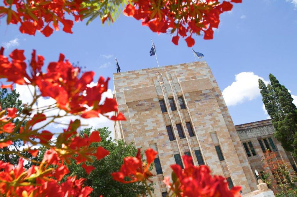 Poinciana tree and sandstone building