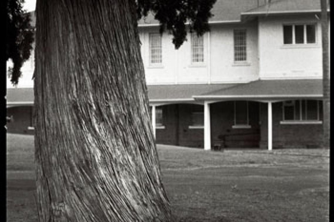 A photograph from the exhibition