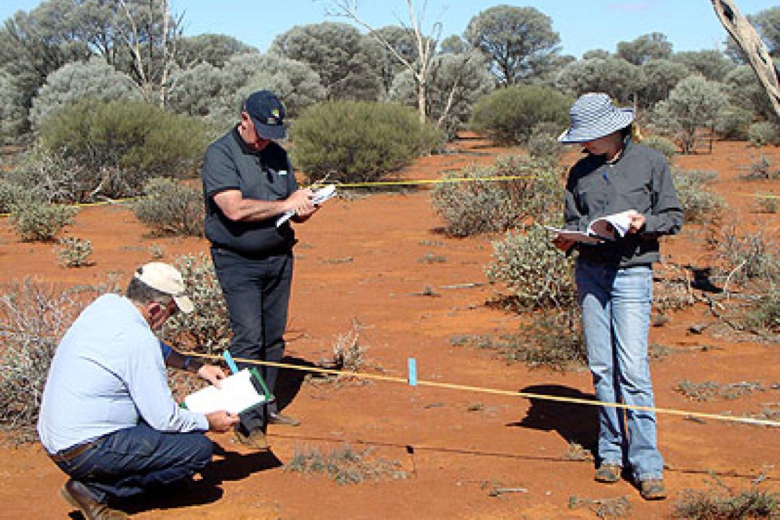 Conducting fieldwork during the Advanced Rangeland Ecology course