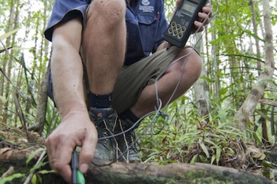 Professor Craig Franklin measuring pH in a tributary of the Wenlock River, on the Steve Irwin Wildlife Reserve in northern Queensland.