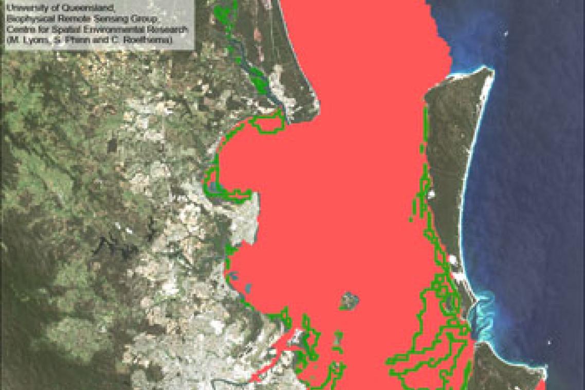 A visualisation of the flood plume in Moreton Bay. Courtesy Mitchell Lyons