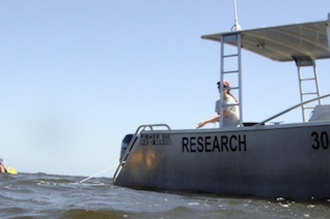 UQ Researchers deploying marine monitors in Moreton Bay.