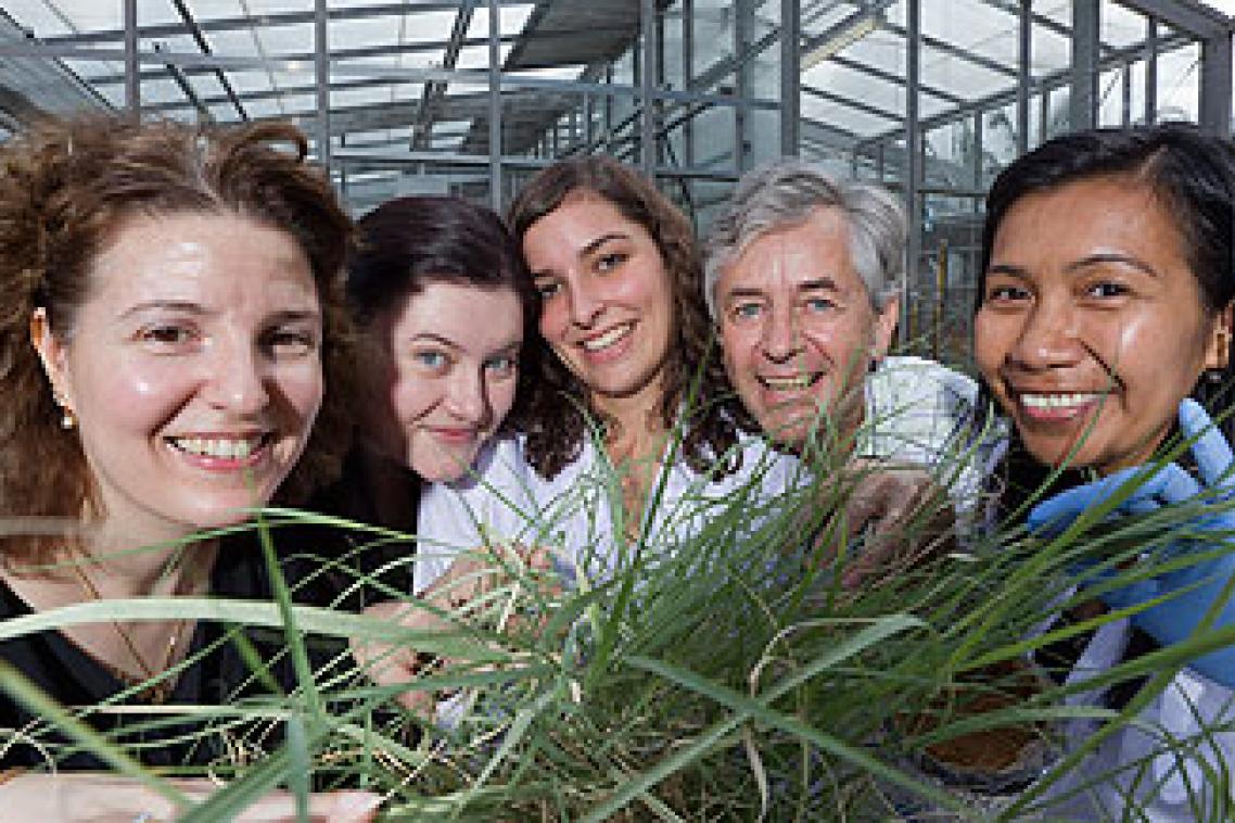 The team behind the MetalloTek research