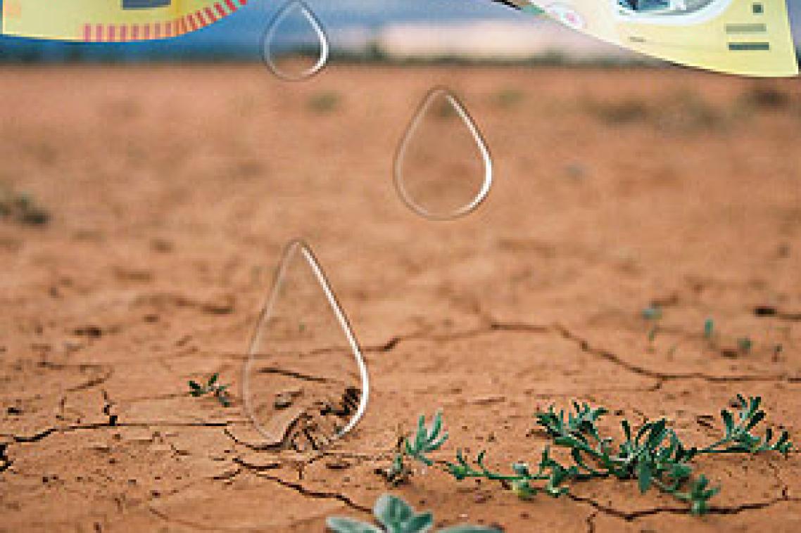 Background image courtesy Michelle Venter