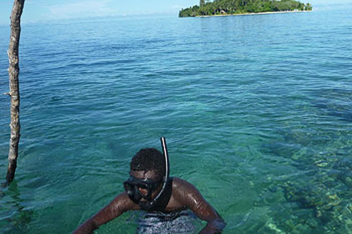 Coral reef monitoring in the Solomon Islands