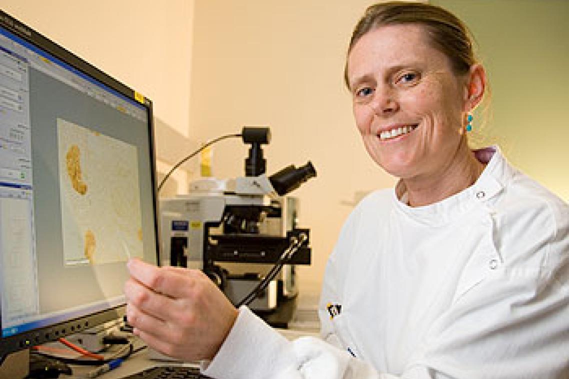UQ's Professor Melissa Little, who along with Professor Ian Frazer has been appointed to a new panel which will oversee a 10-year strategic health and medical research plan for the nation