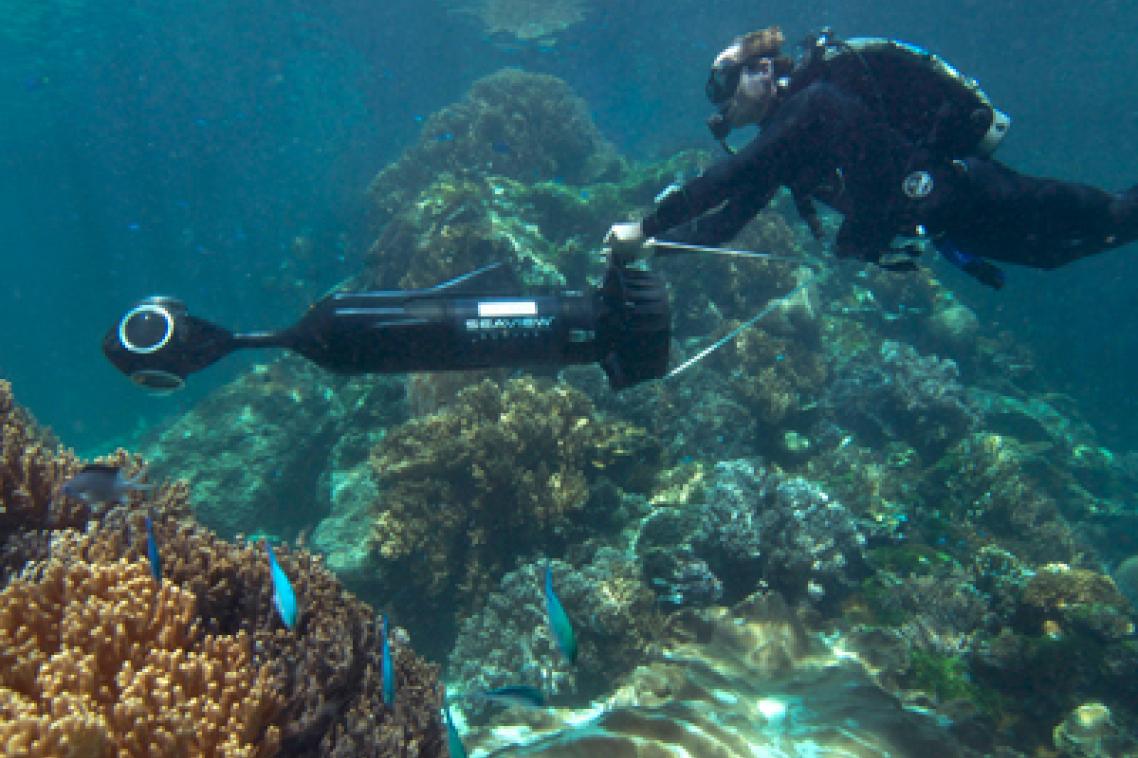 Catlin Global Reef Record is a free online resource that will become invaluable to scientific researchers