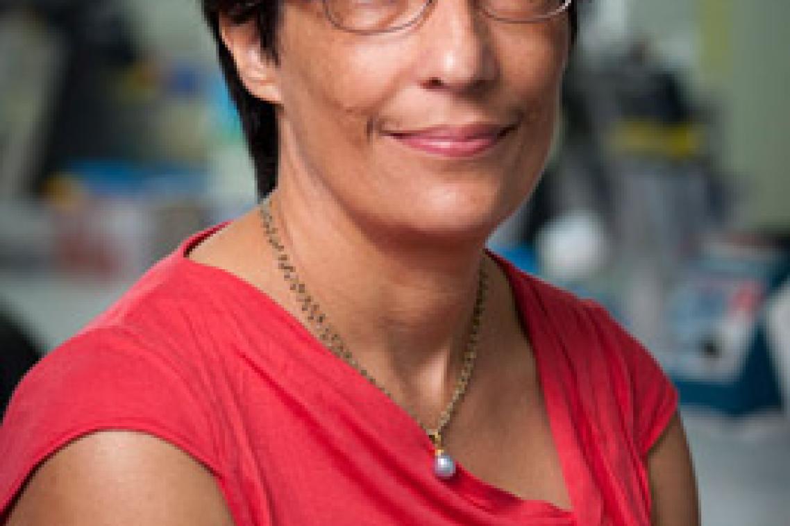 Professor Ranjeny Thomas of the UQ Diamantina Institute has been named a finalist in the GlaxoSmithKline Awards for Research Excellence.