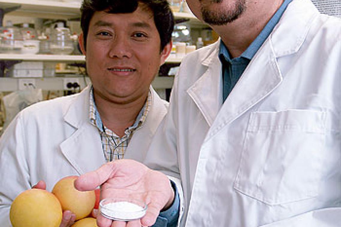 Mr Binh Ho and Professor Bhesh Bhandari