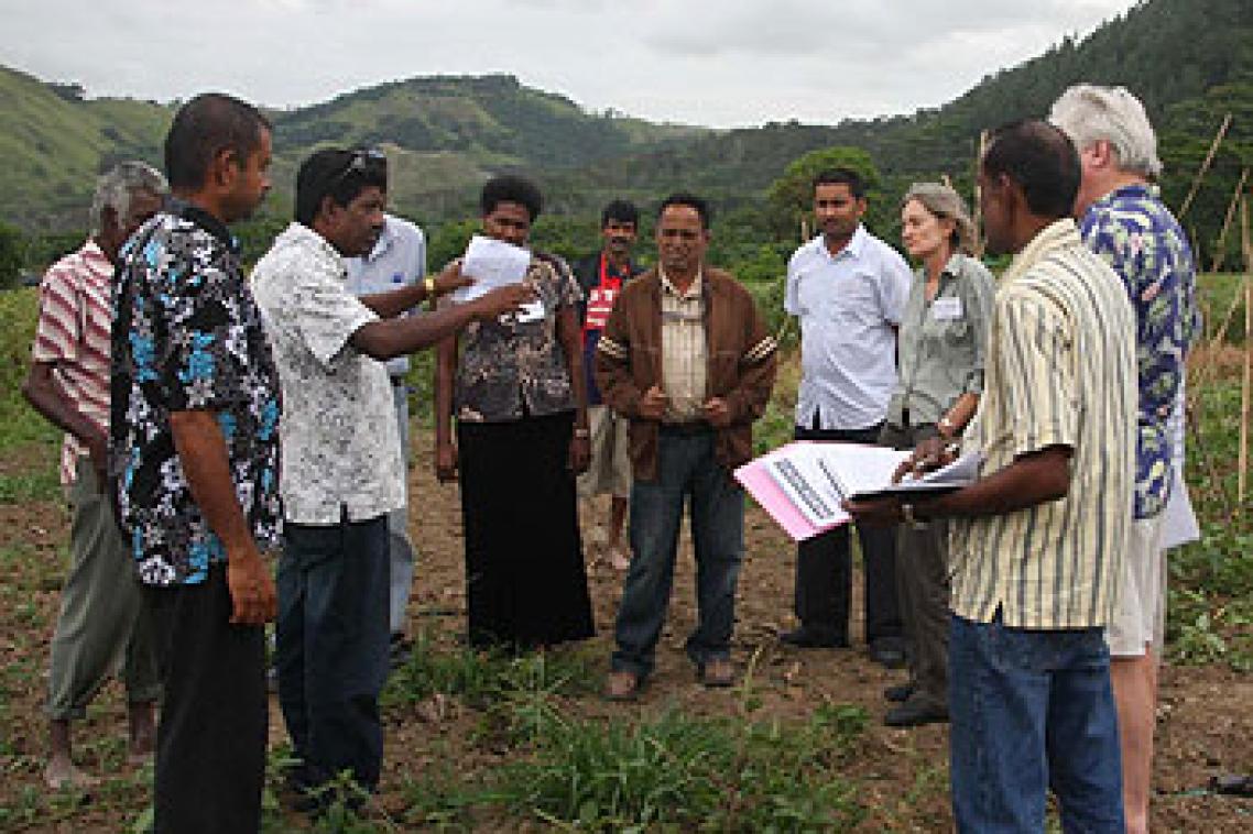 Workshop participants visit a farm to learn about the challenges faced by growers in producing vegetables for market