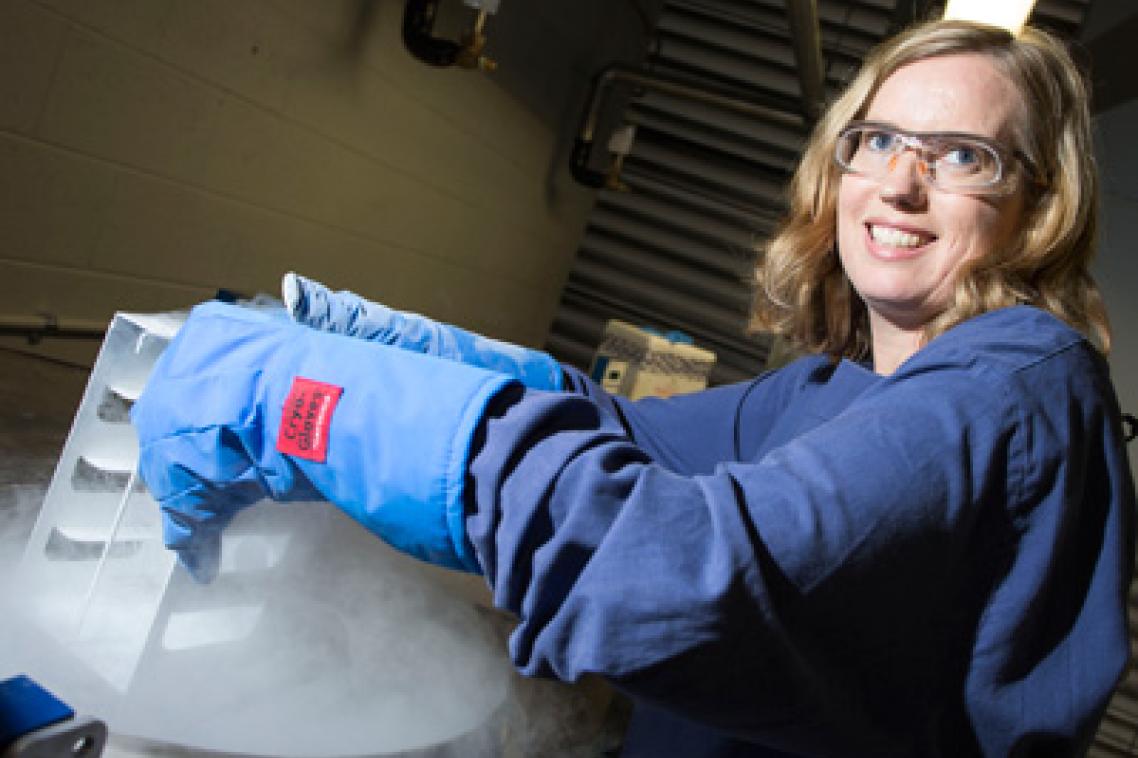 UQ’s Dr Emma Hamilton-Williams secures funding for her research into identifying immune pathways responsible for causing type 1 diabetes.
