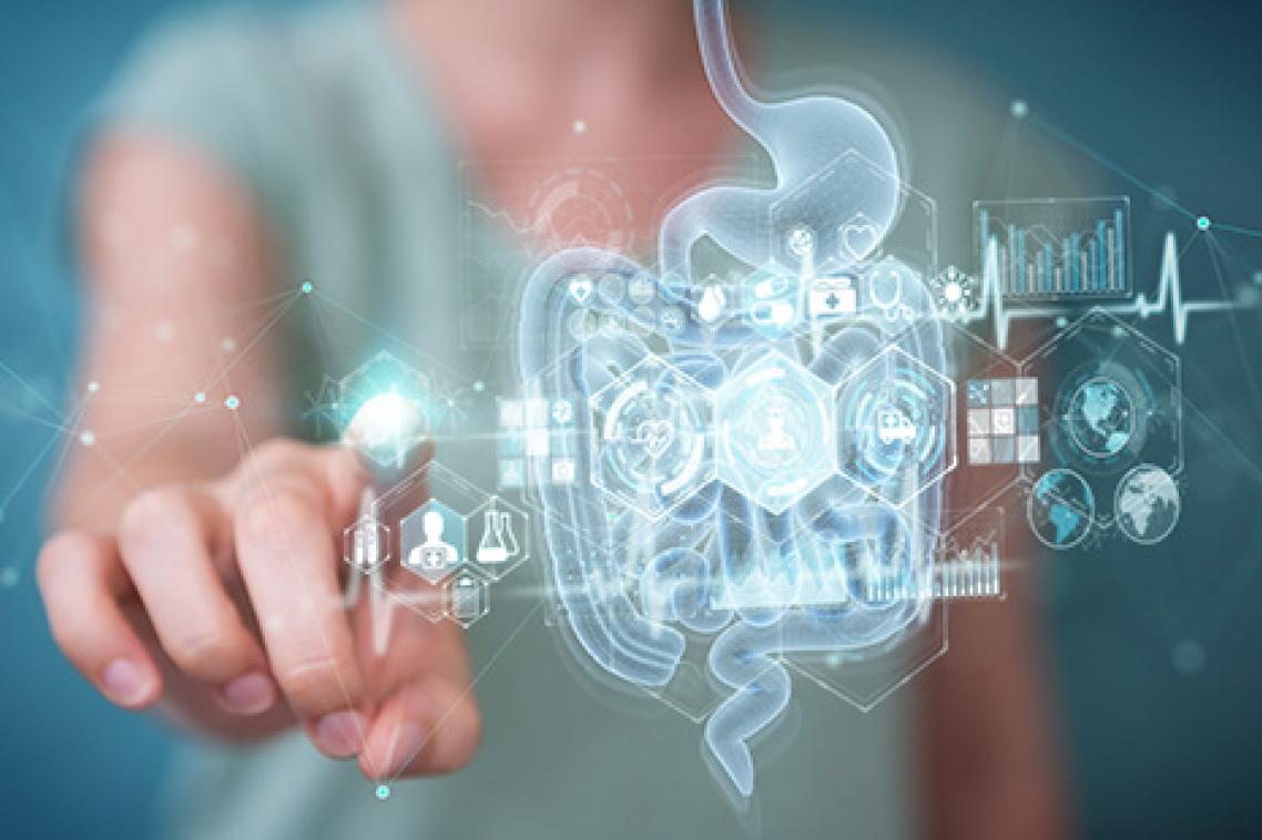 A digital illustration of a digestive system with a person standing behind it
