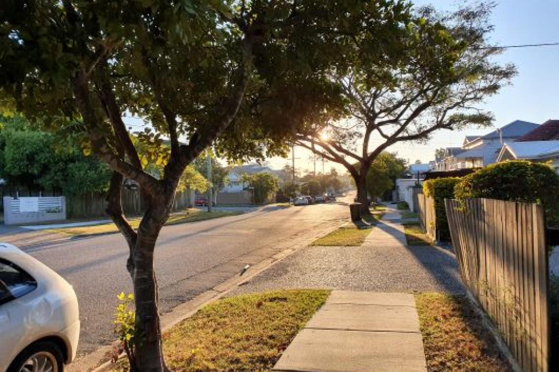 A suburban street with trees lining the median strip next to a walking path. Part of a small silver car is visible in the bottom-left corner