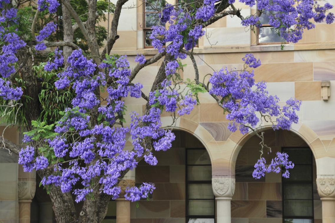 UQ's research will benefit Queensland and have global impact