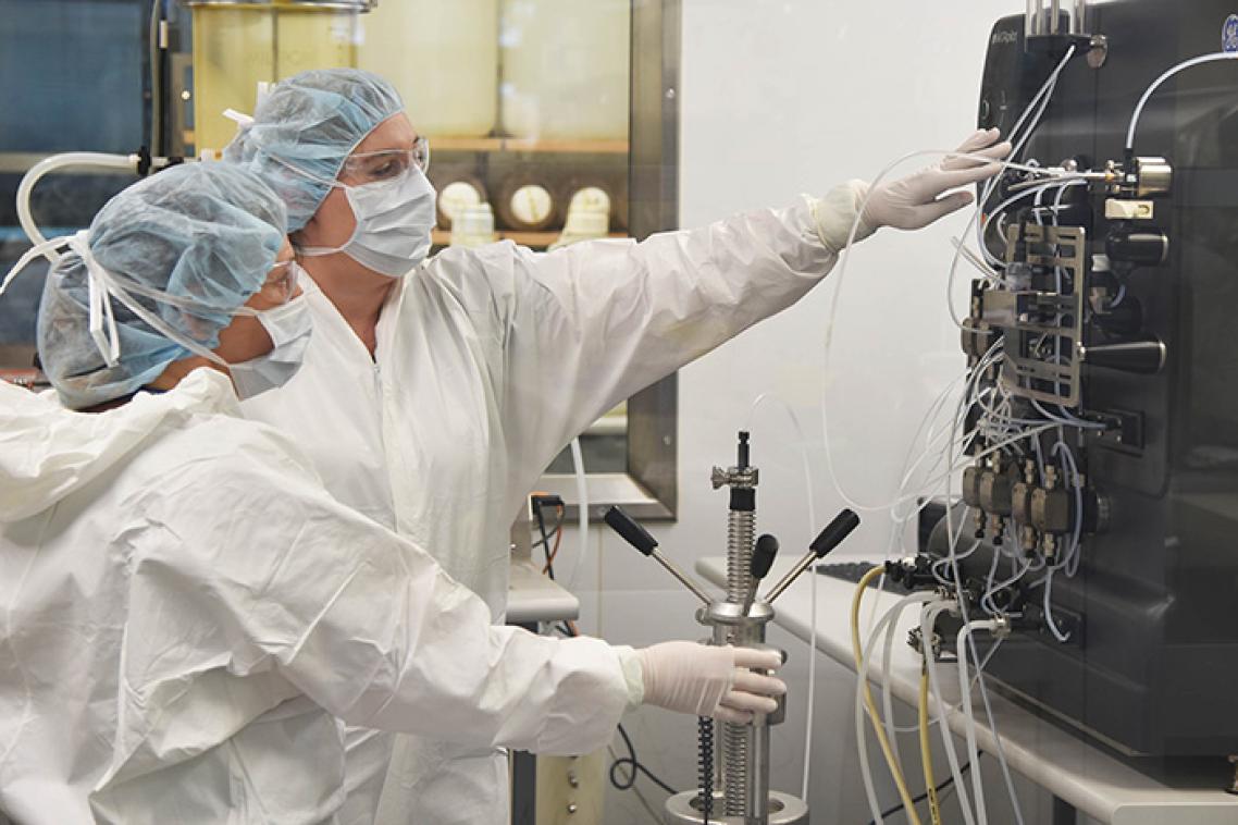 Researchers work on the Hendra virus therapeutic antibody. UQ image.