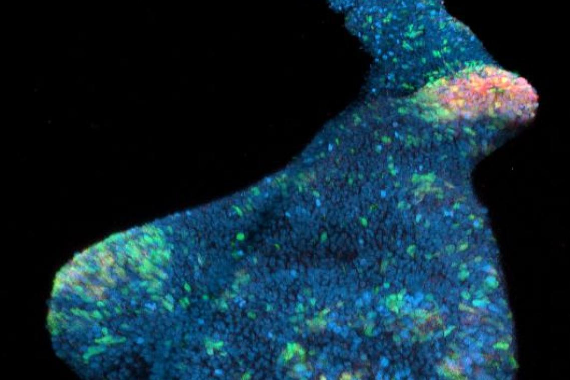 A 3D high resolution image showing multicoloured tiny dots in a long, organic shape against a black background.