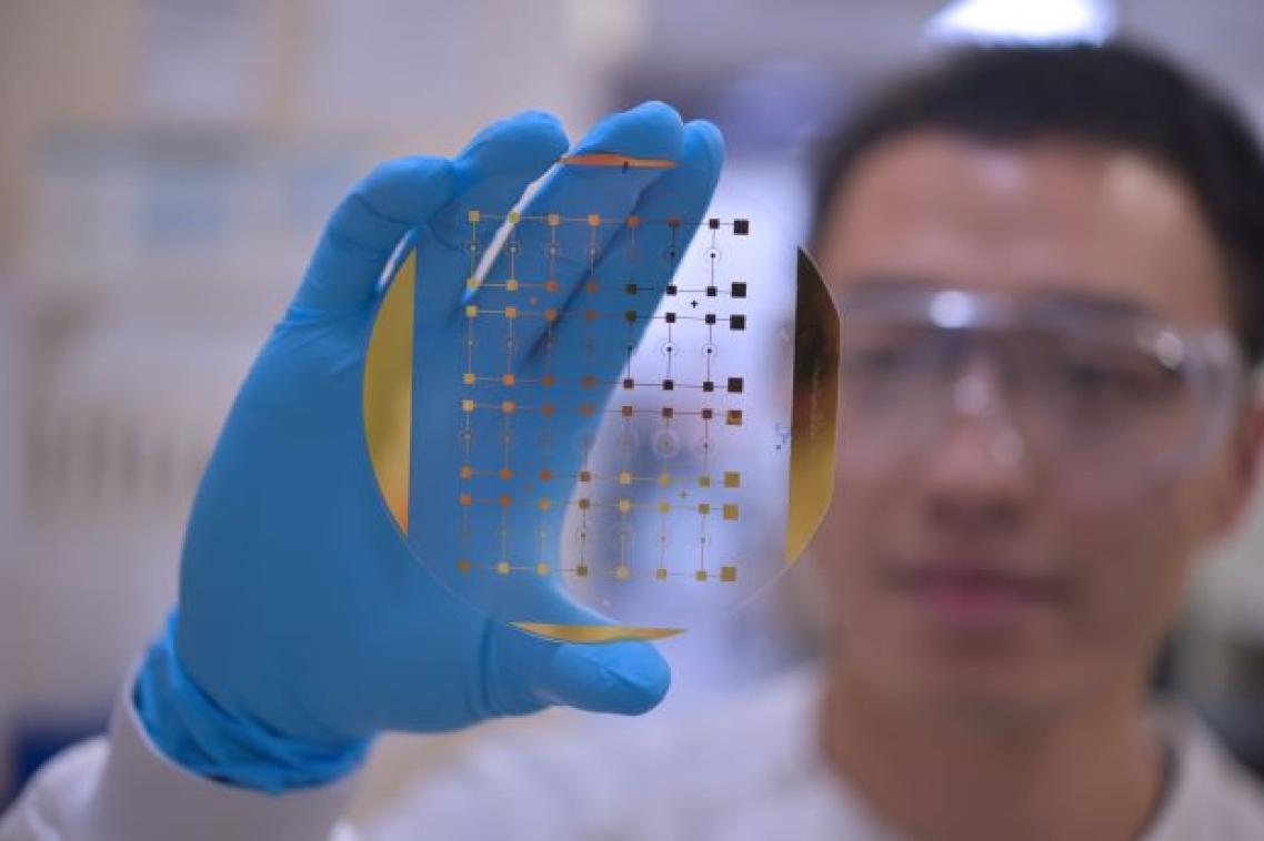 A close up image of a slide showing tiny rectangles, held up by the gloved hand of a researcher who is out of focus.