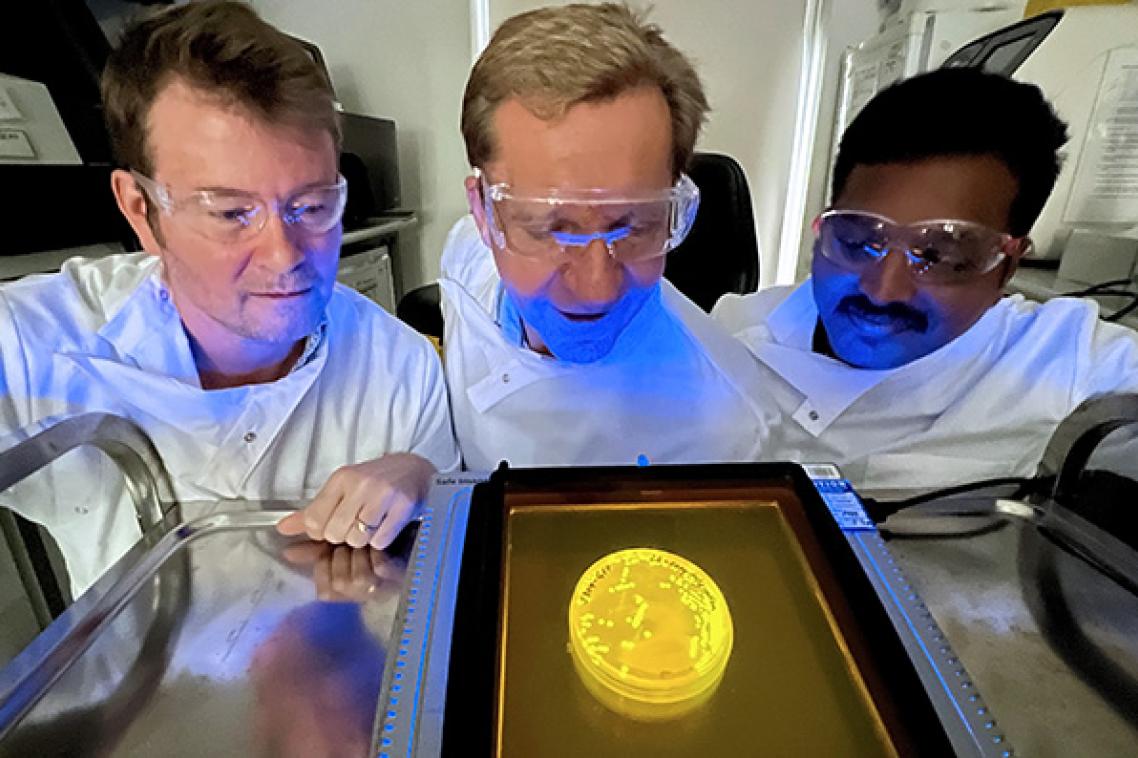 three people in safety glasses and white coats look at a glowing round yellow dish on a metal table