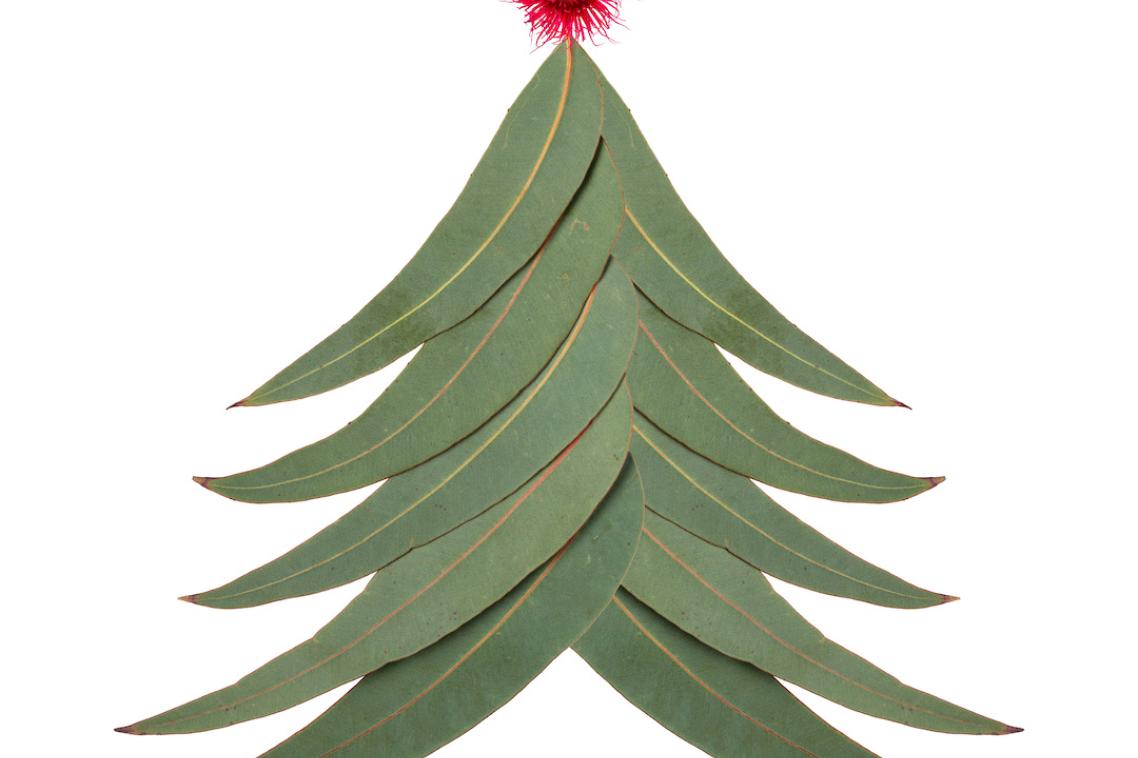 Decorative