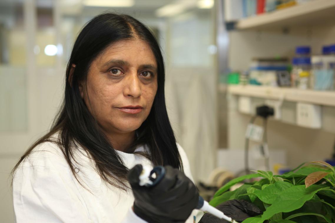 Professor Neena Mitter ... discovery will provide an environmentally sustainable alternative to chemicals and pesticides
