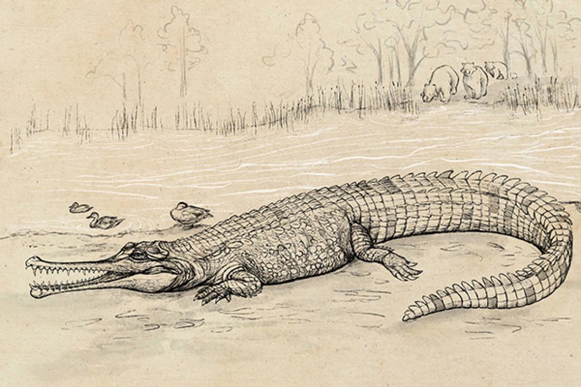Artistic representation of Gunggamarandu maunala. Credit: Eleanor Pease.