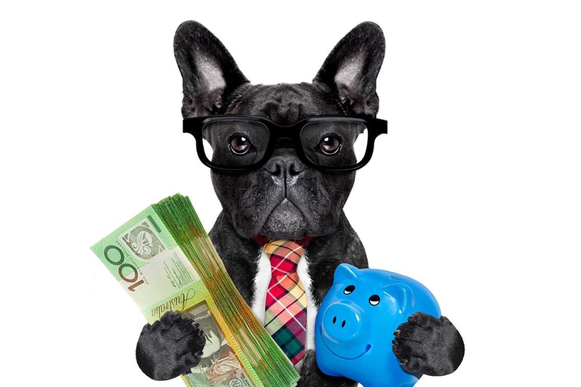 The federal budget may deliver short-term gain, but long-term repercussions