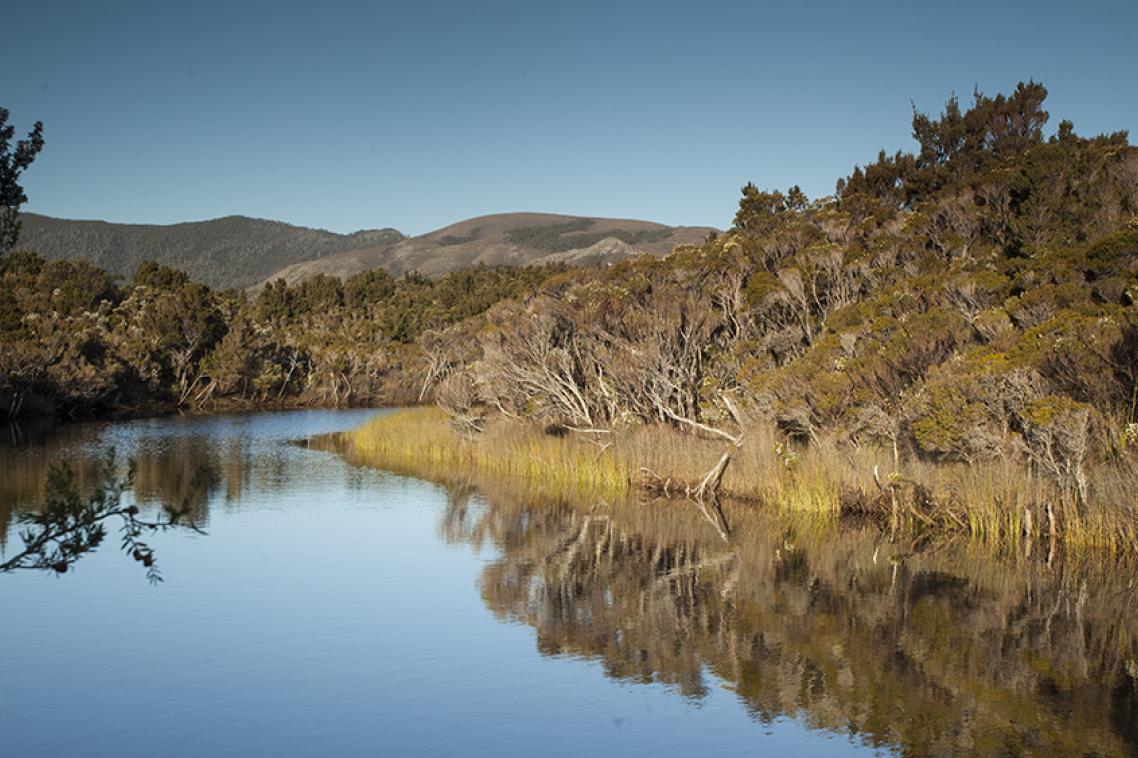 Melaleuca National Park: credit J Ringma