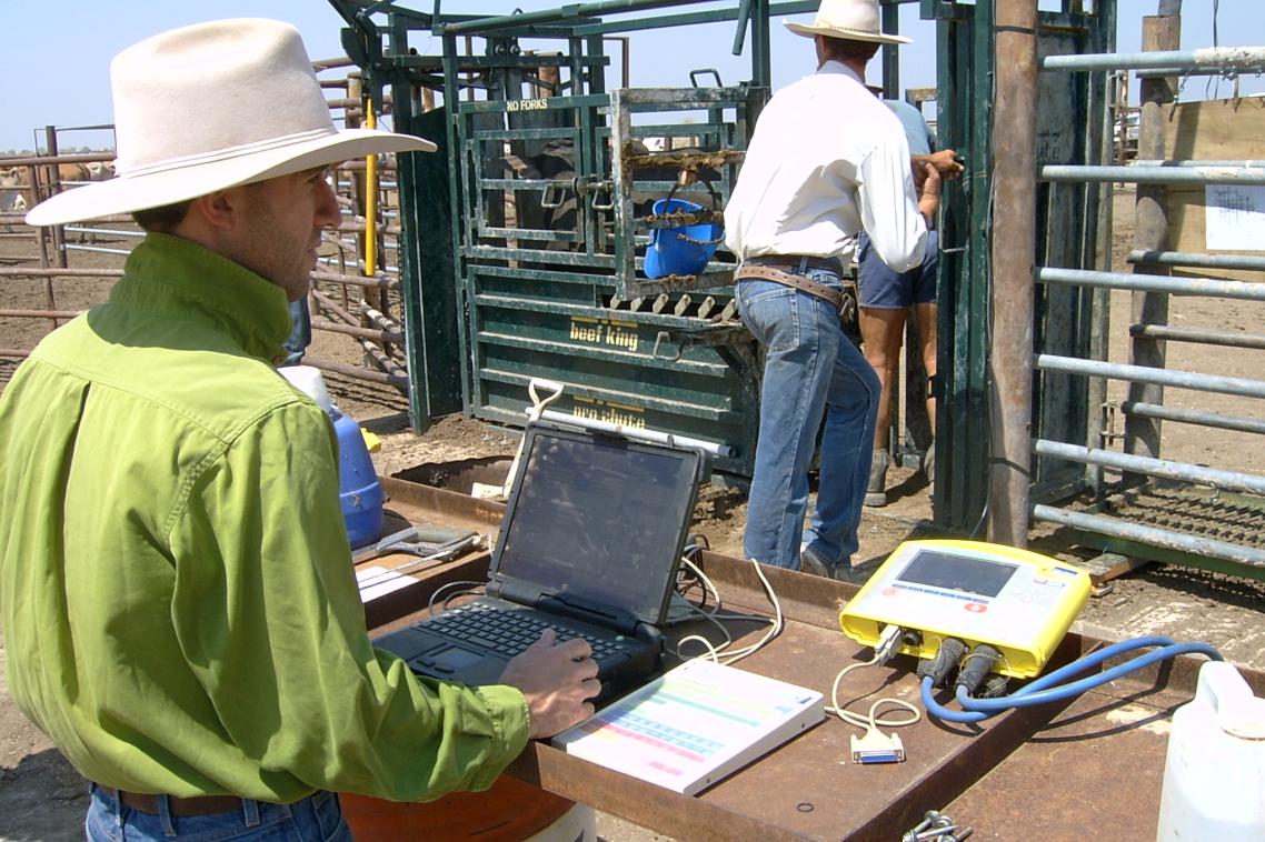 The CashCow project demonstrated the potential of electronic monitoring of herd performance