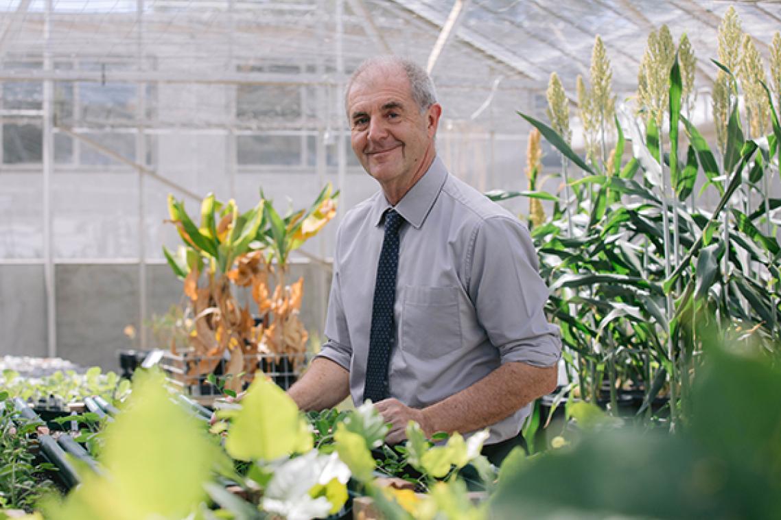 David Craik standing in a greenhouse, surrounded by plants