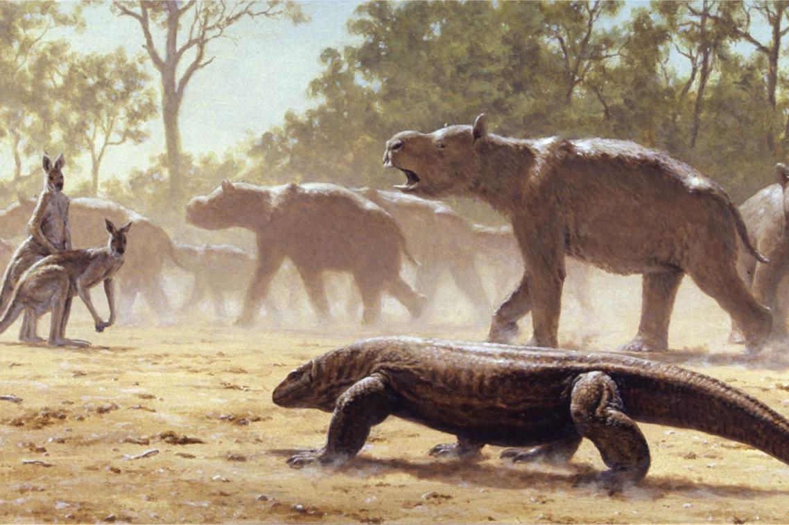 Diprotodon undertaking mass migration, while being observed by a giant lizard (Megalania) and giant grey kangaroos. Credit: Laurie Beirne