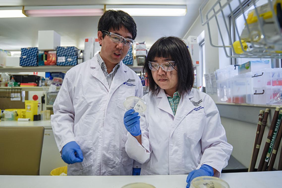From left: Dr Jianhua Guo and PhD student Yue Wang in the lab