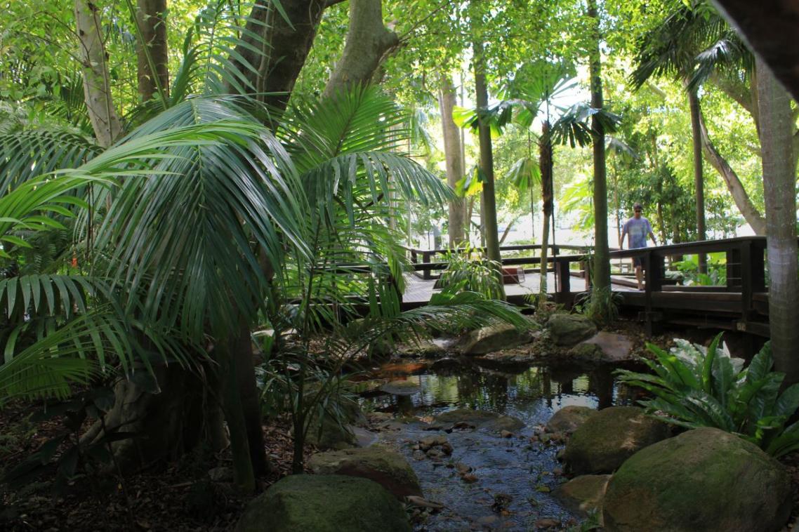 Southbank's Rain Bank in Brisbane
