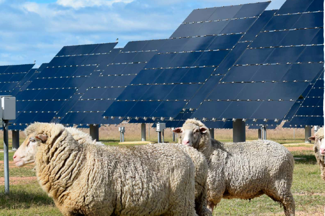 UQ produced 8.8 million kWh of clean energy from more than 47,000 individual solar panels in 2016