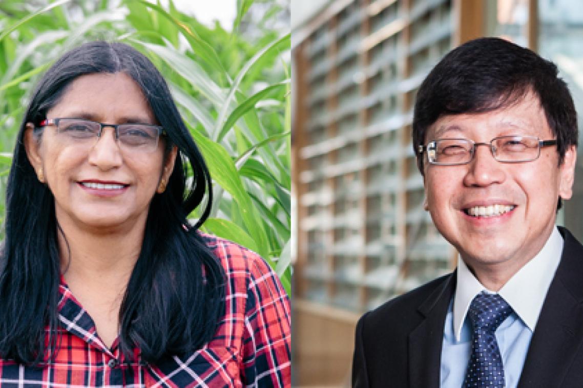 Professor Neena Mitter and Professor Chien Ming Wang