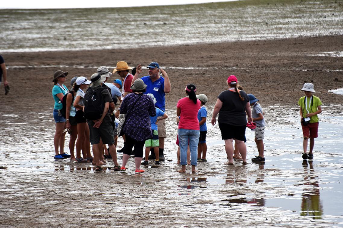 The Biodiversity Roadshow will include opportunities to get involved in citizen science activities