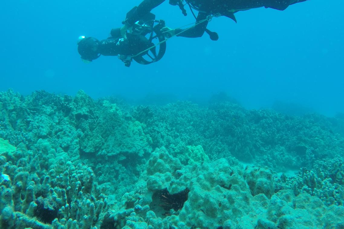 The XL Catlin Seaview Survey team visits Big Island, Hawaii.