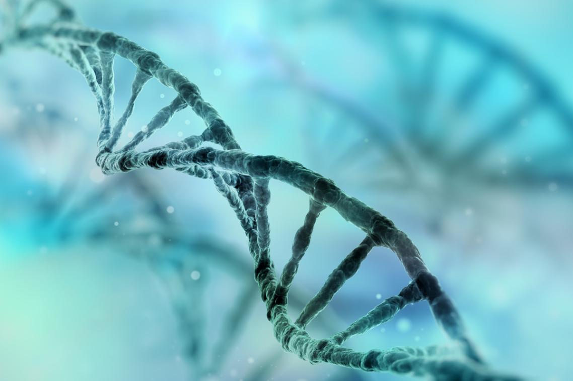 A total of 7280 bacterial and 623 archaeal genomes were obtained