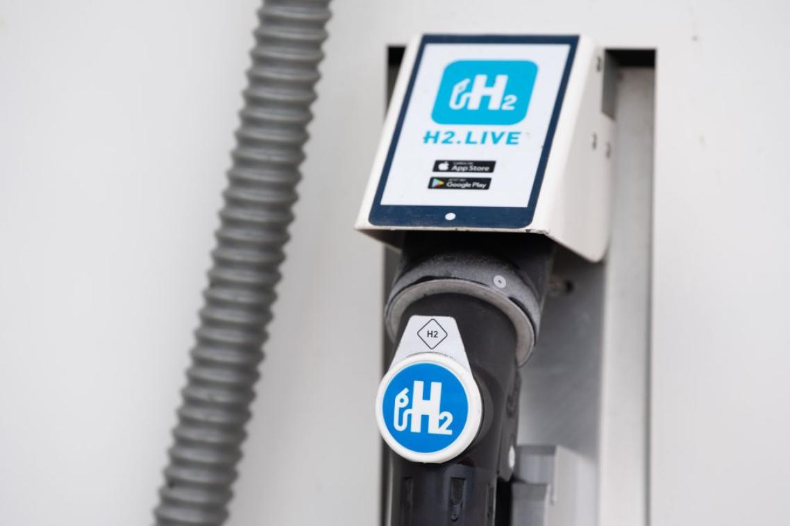Hydrogen fuel pump