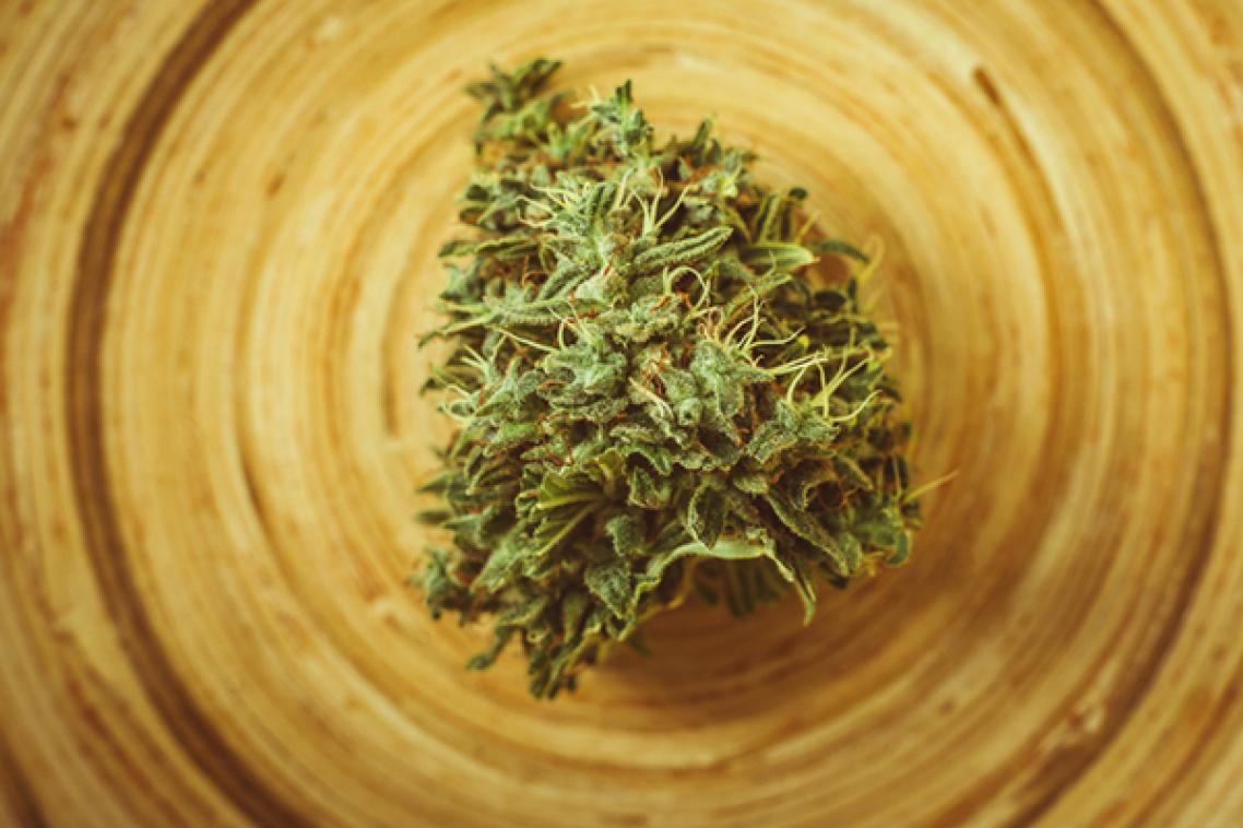 Cannabis sits on a spiral pattern.