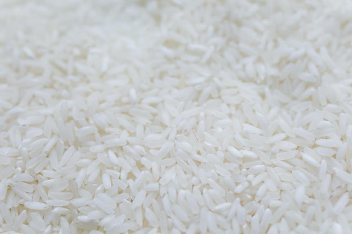 a close up view of grains of white rice