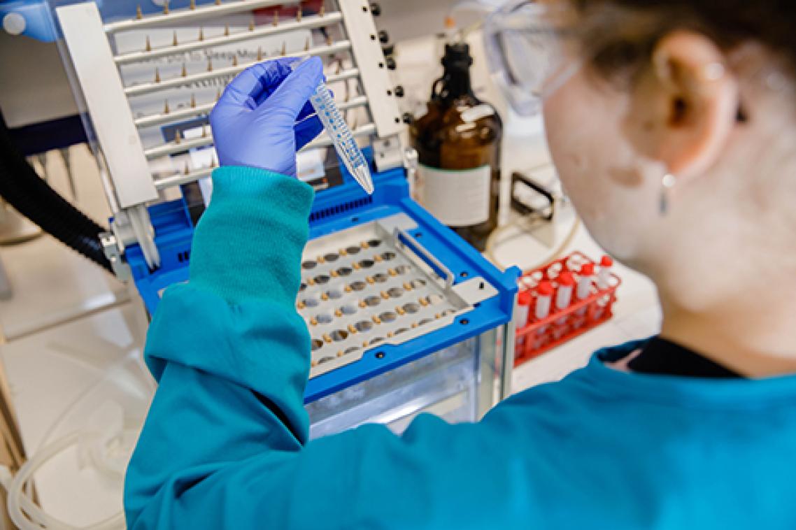 Back of researcher in lab holding up test tube of liquid