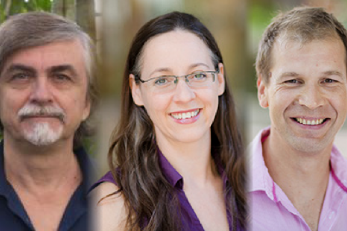 UQ researchers Dr Taras Plakhotnik, Associate Professor Claudia Vickers, Professor Kirill Alexandrov 