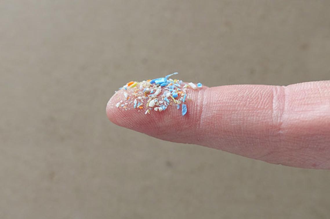 Tiny plastic particles of a range of colours sit atop a fingertip
