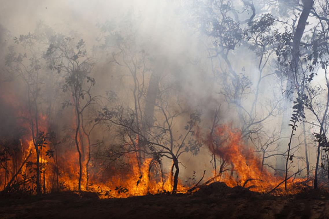 Flames burn through the Australian bush as smoke billows from the fire