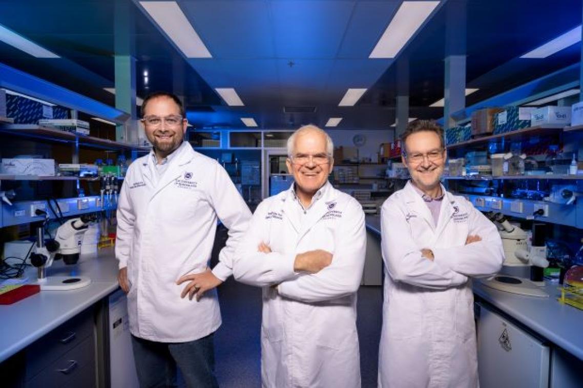 UQ researchers are buoyed by investment in promising heart attack treatment. (Left to right, Associate Professor Nathan Palpant, Associate Professor Mark Smythe and Professor Glenn King). Supplied.