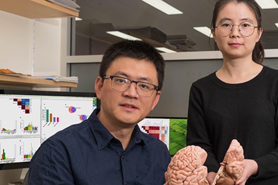 Professor Jian Yang and Dr Ting Qi