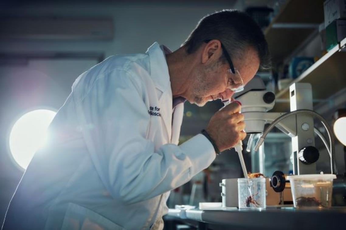 A male scientist in a lab coat and goggles holds a pipette above a large black spider in a container.
