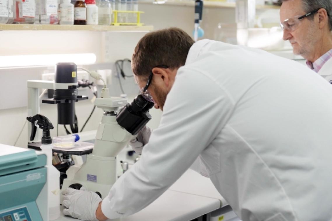 a man bends to look into a microscope at a container of yellow liquid watched on by another man, both are in white coats
